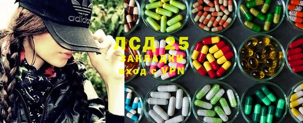 прущие грибы Навашино