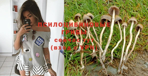 не бодяженный Наволоки