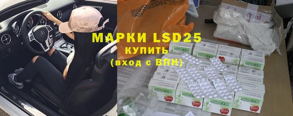 прущие грибы Навашино