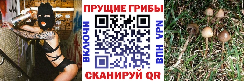 Псилоцибиновые грибы ЛСД  Шумиха 